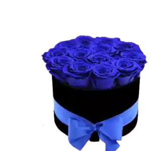 Box Cilindro De 12 Rosas Azules