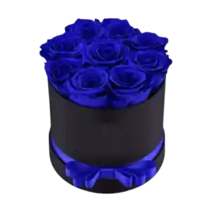 Box Cilindro De 9 Rosas Azules