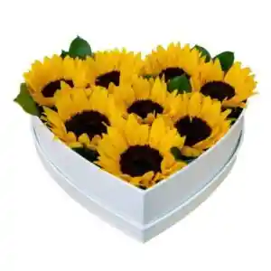 Box Corazón De 8 Girasoles