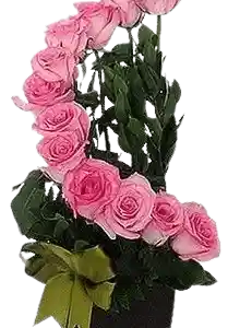 Espiral De 12 Rosas Rosadas