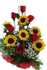 Base De 6 Rosas Y 6 Girasoles