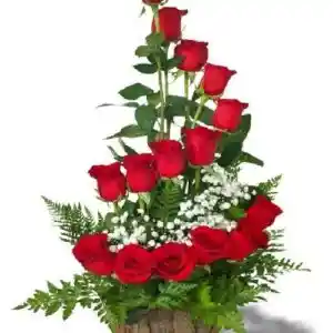 Espiral De 15 Rosas Rojas