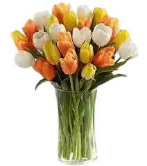 Florero De 30 Tulipanes