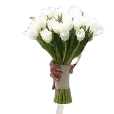 Ramo De Novia 30 Tulipanes Blancos