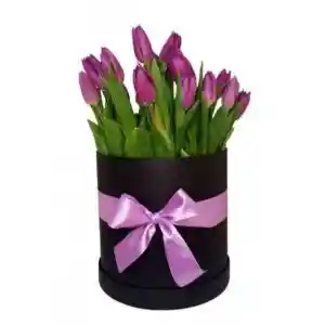 Box De 20 Tulipanes