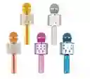 Micrófono Parlante Karaoke Bluetooth Inalámbrico Varios Colo
