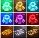 Cinta Led Neon Luz 5 Metros Flexibletransformador 12v