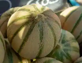Melona Fresca Unidad