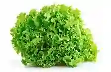 Lechuga Crespa