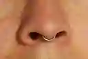 Piercing Septum 8mm Oreja Zirconias 16g Titanio Astm F136