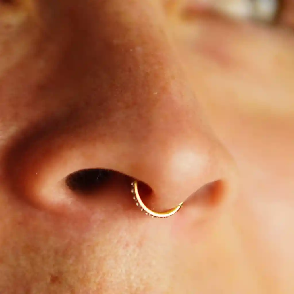 Piercing Septum 8mm Oreja Chapado En Oro Titanio Astm F136