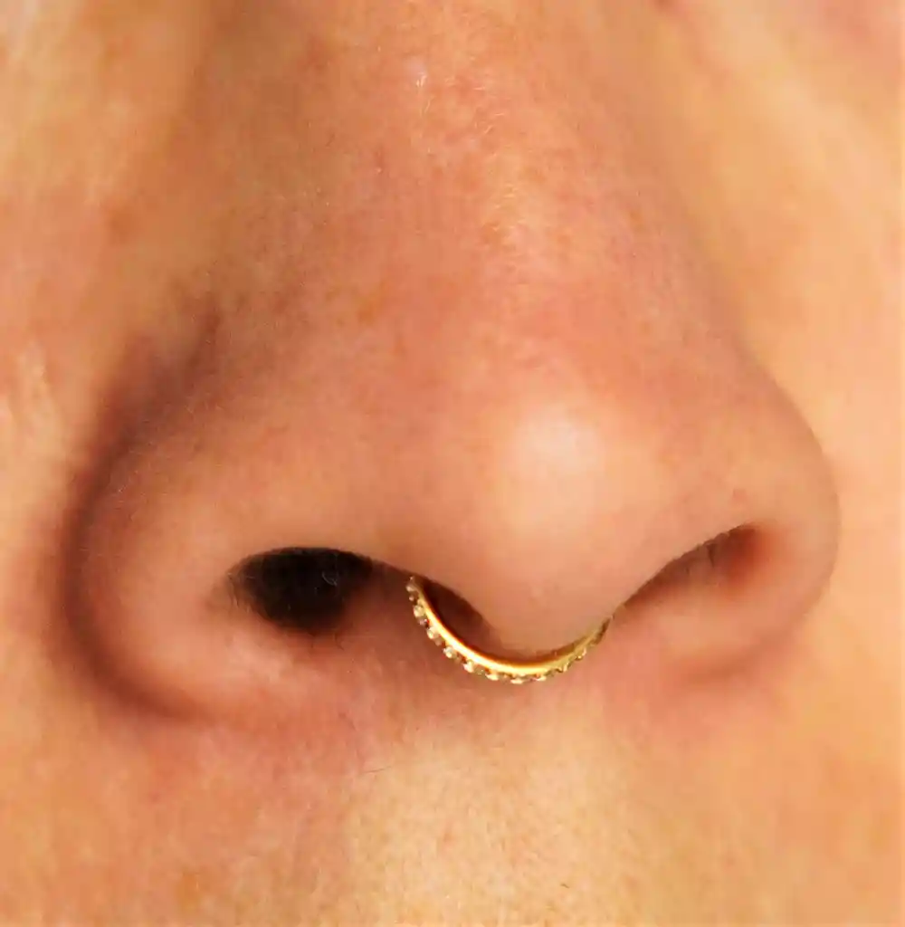 Piercing Septum 8mm Oreja Chapado En Oro Titanio Astm F136