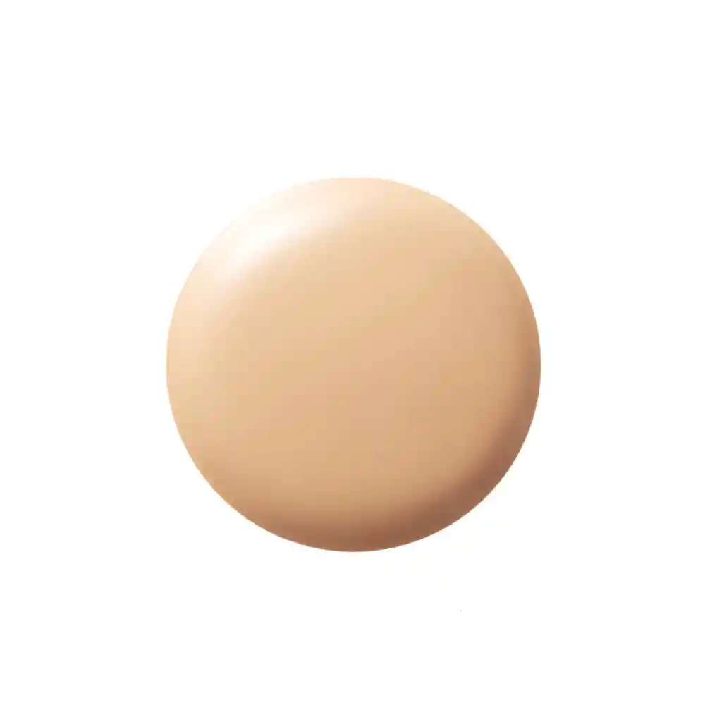 Base De Maquillaje Cushion De Maquillaje Veg Bisq
