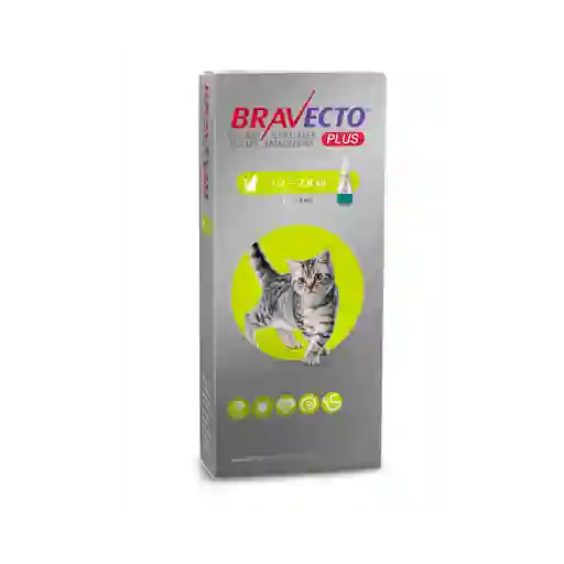 Antiparasitario Interno Y Externo Gatos Bravecto Plus Pipeta 1.2-2.8kg