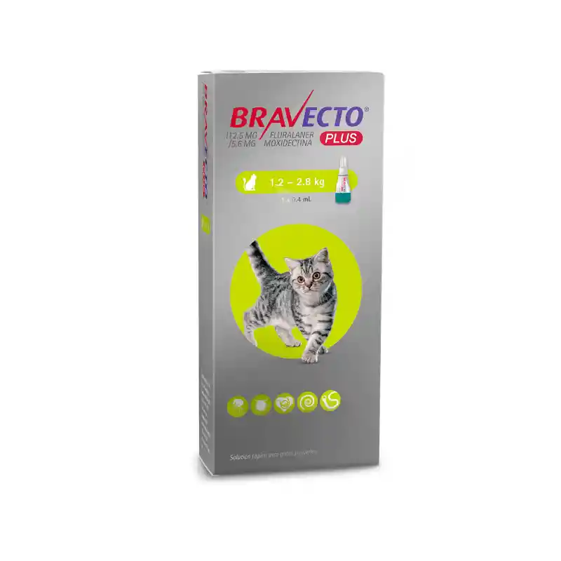Antiparasitario Interno Y Externo Gatos Bravecto Plus Pipeta 1.2-2.8kg