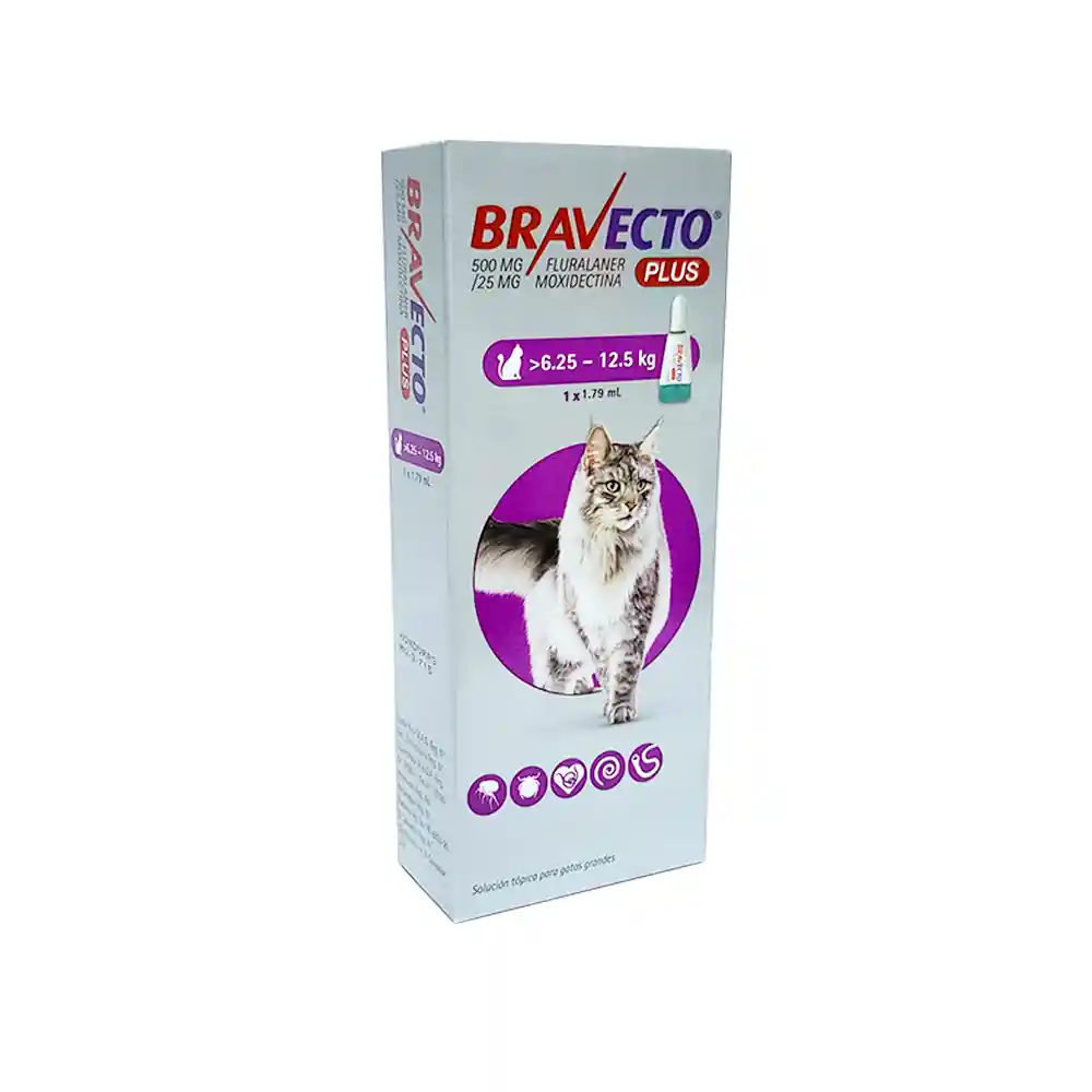 Antiparasitario Interno Y Externo Gatos Bravectos Plus Pipeta 6.25-12.5kg