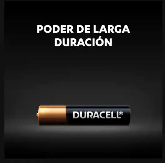 Pilas Duracell Aaaa X2