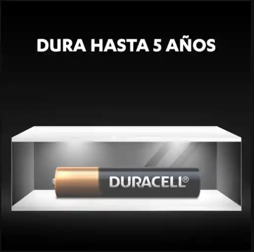 Pilas Duracell Aaaa X2