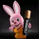 Pilas Duracell Aaaa X2