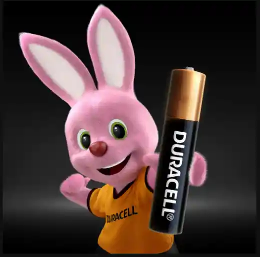 Pilas Duracell Aaaa X2