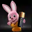 Pilas Duracell N/lr1 X2