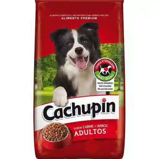 Alimento Para Perros Cachupin Adultos Sabor Carne Y Arroz 2kg