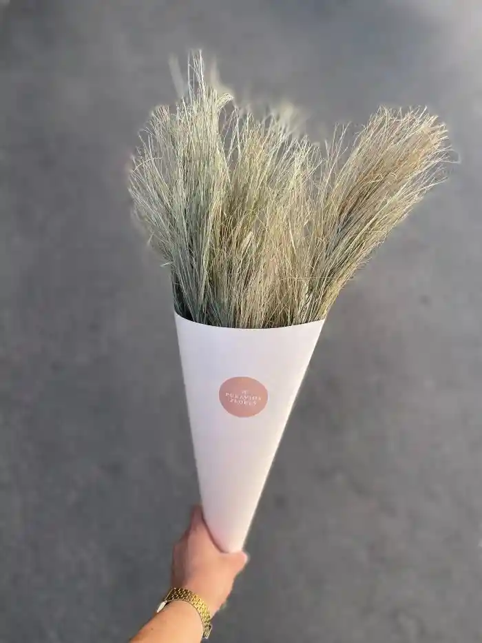 Hojas De Dátil Seco