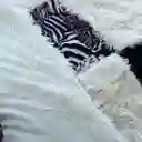 Cobertor Cubrecama Con Chiporro 2 Plazas Zebra