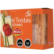 Tostada Van Der Meulen Melba Sesamo 100 Gr