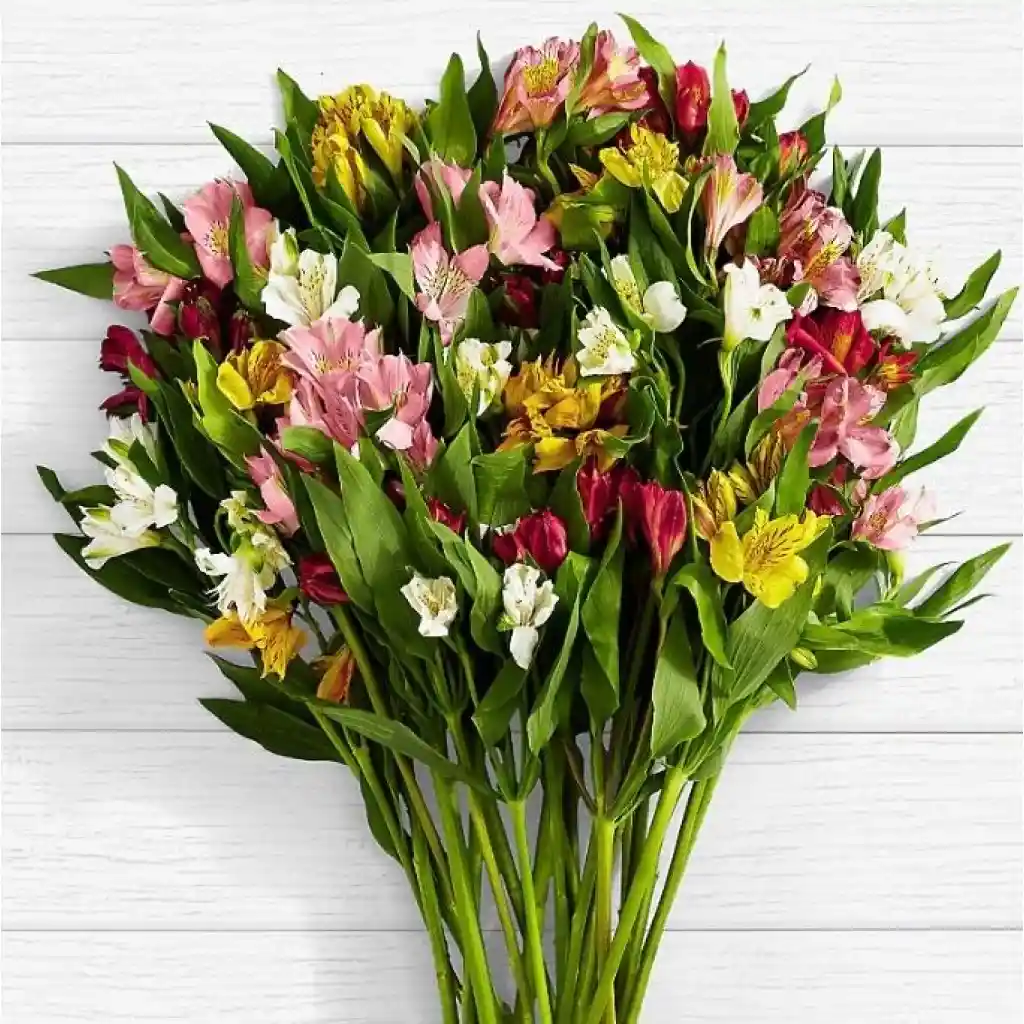 Ramo Mix 10 Astromelias (distintos Colores )