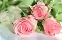 Ramo Premium De 3 Rosas Rosadas Ecuatorianas