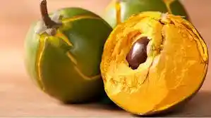 Lucuma Peruana