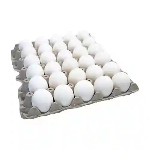 Carton Bandeja Huevos 30und