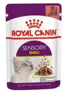 Royal Canin - Sensory Smell - Alimento Humedo Gatos -sobre 85g