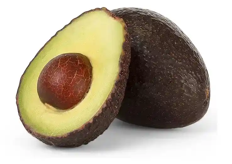 Palta Und