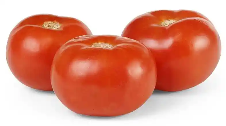 Tomate Kg