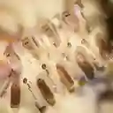 Filtro Fluido Soft Glam Light Medium