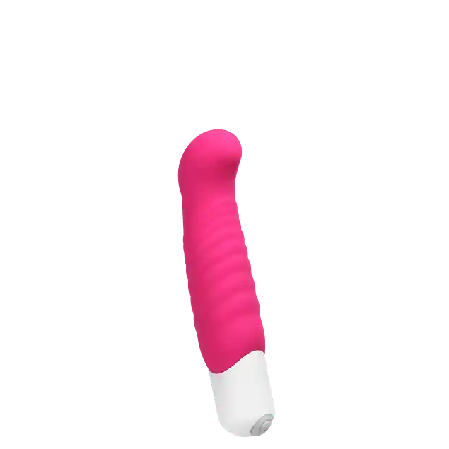 Vibrador Inu