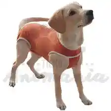 Body Cobre Talla 11 (30 - 35 Kg)