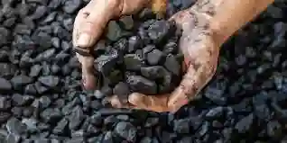 Carbon Yunta Buey 1.2kg