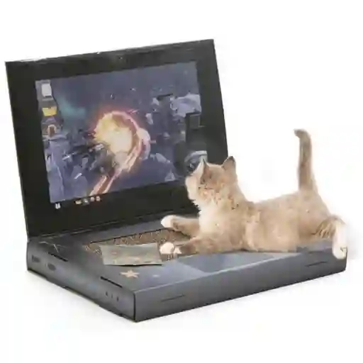 Hey! Computador Portatil Para Gatos