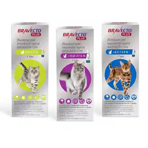 Bravecto Plus Pipeta Para Gatos 1,2 A 2,8 Kg