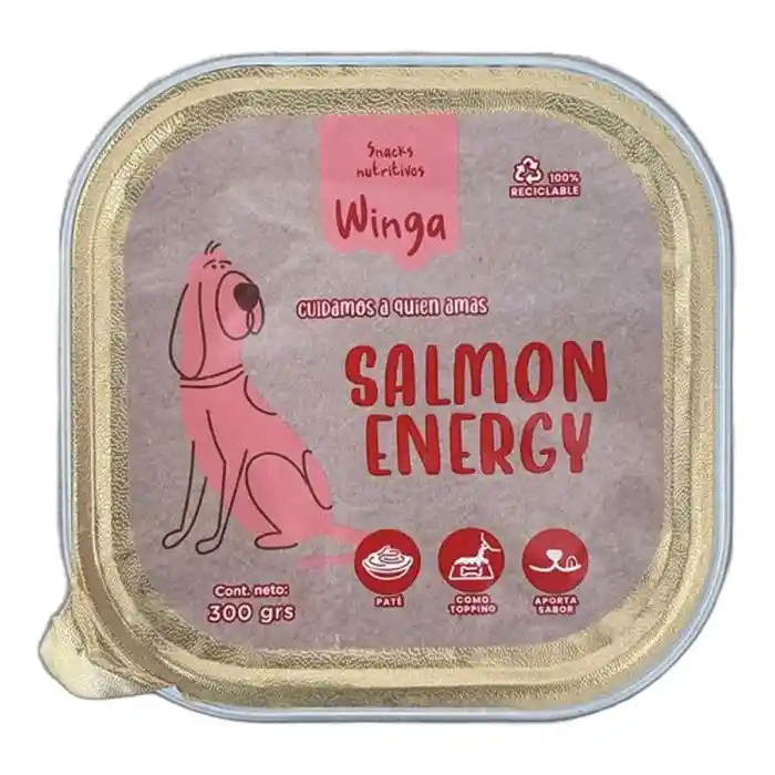 Winga Pate Salmón Energy 300 Grs.