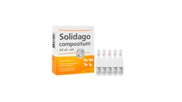 Solidago Compositum