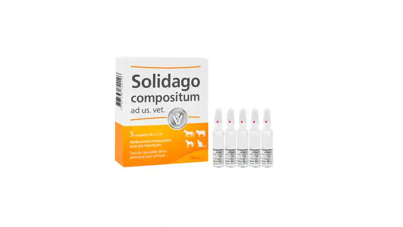 Solidago Compositum