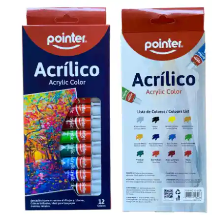 Set De Acrilicos Pointer (12 Colores)