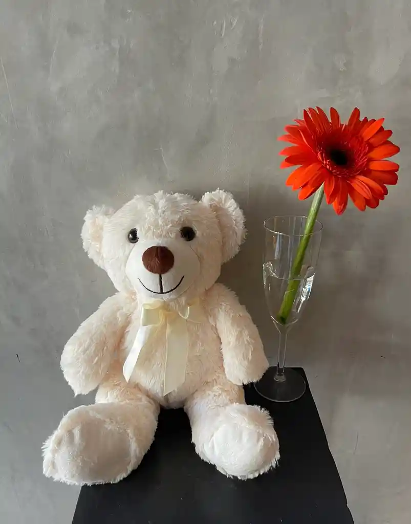 Oso De Peluche 35 Cm