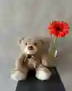 Oso De Peluche 35 Cm