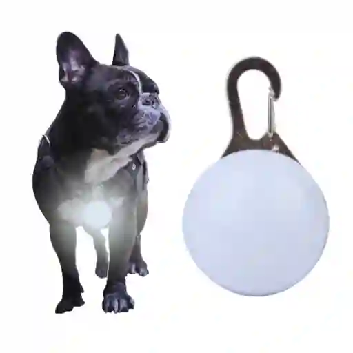 Colgante De Collar Led Para Mascotas