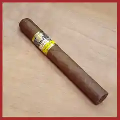 Puro Cohiba Sigloii